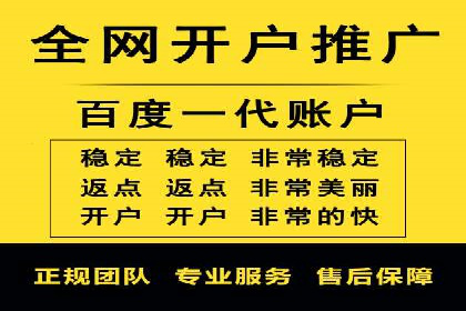 SEO百度推广策略：成功案例解析